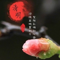請上(shàng)傳圖片